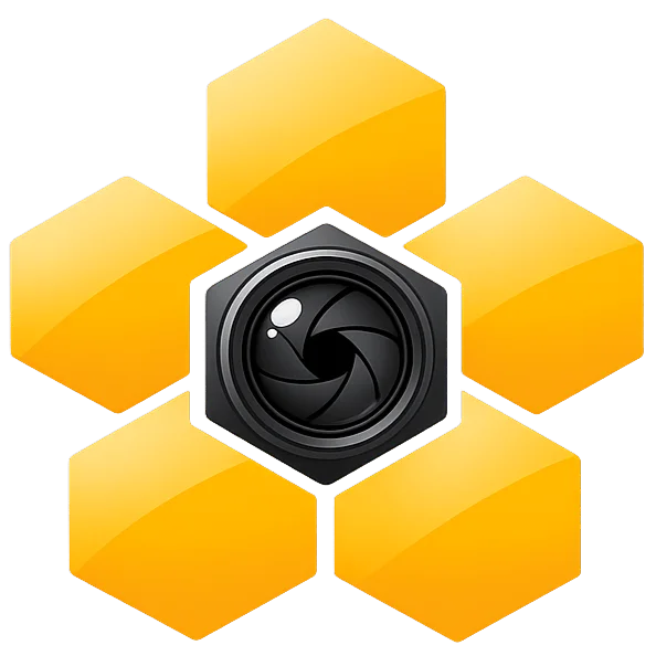 HiveMoments
